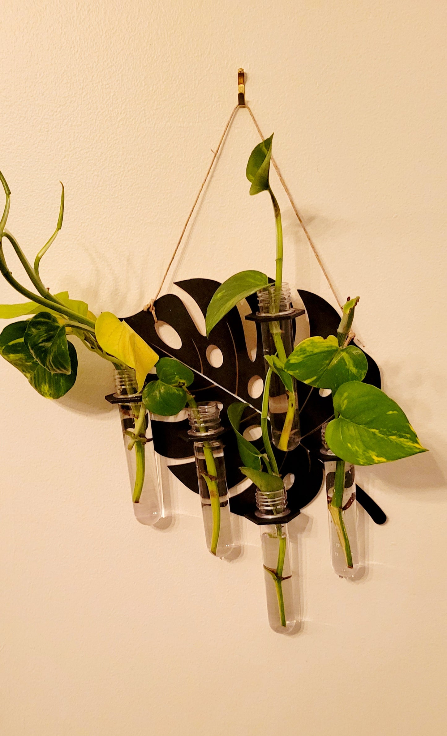 Propogation Station Bud Vase Holder Monstera Design