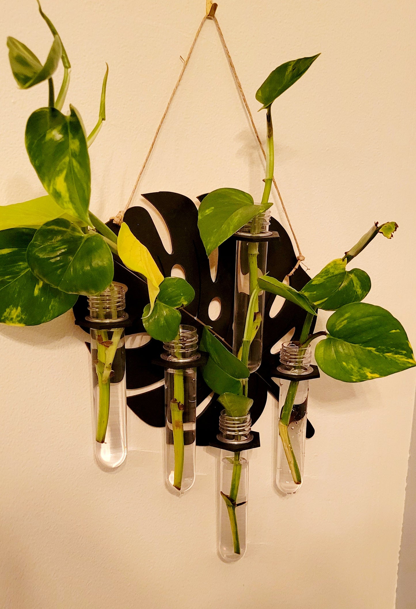 Propogation Station Bud Vase Holder Monstera Design