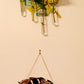 Propogation Station Bud Vase Holder Monstera Design